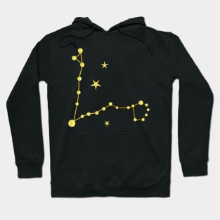 Pisces Hoodie